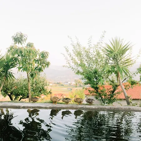 Encosta Do Sol *