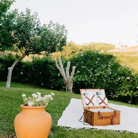 Casa de Férias Encosta Do Sol Abadim