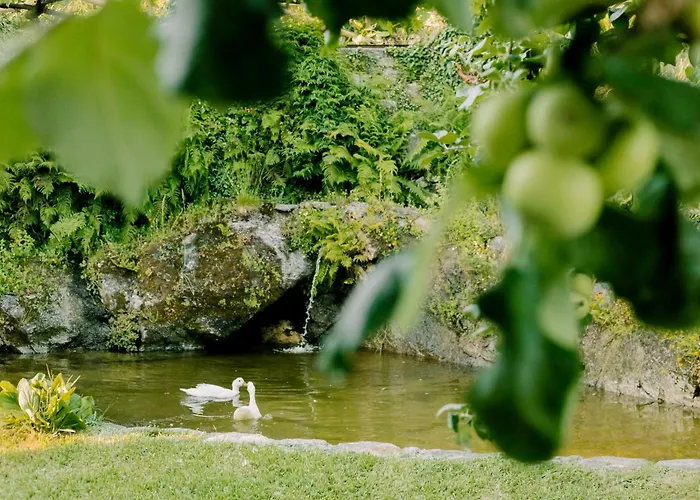 Encosta Do Sol Σπίτι διακοπών